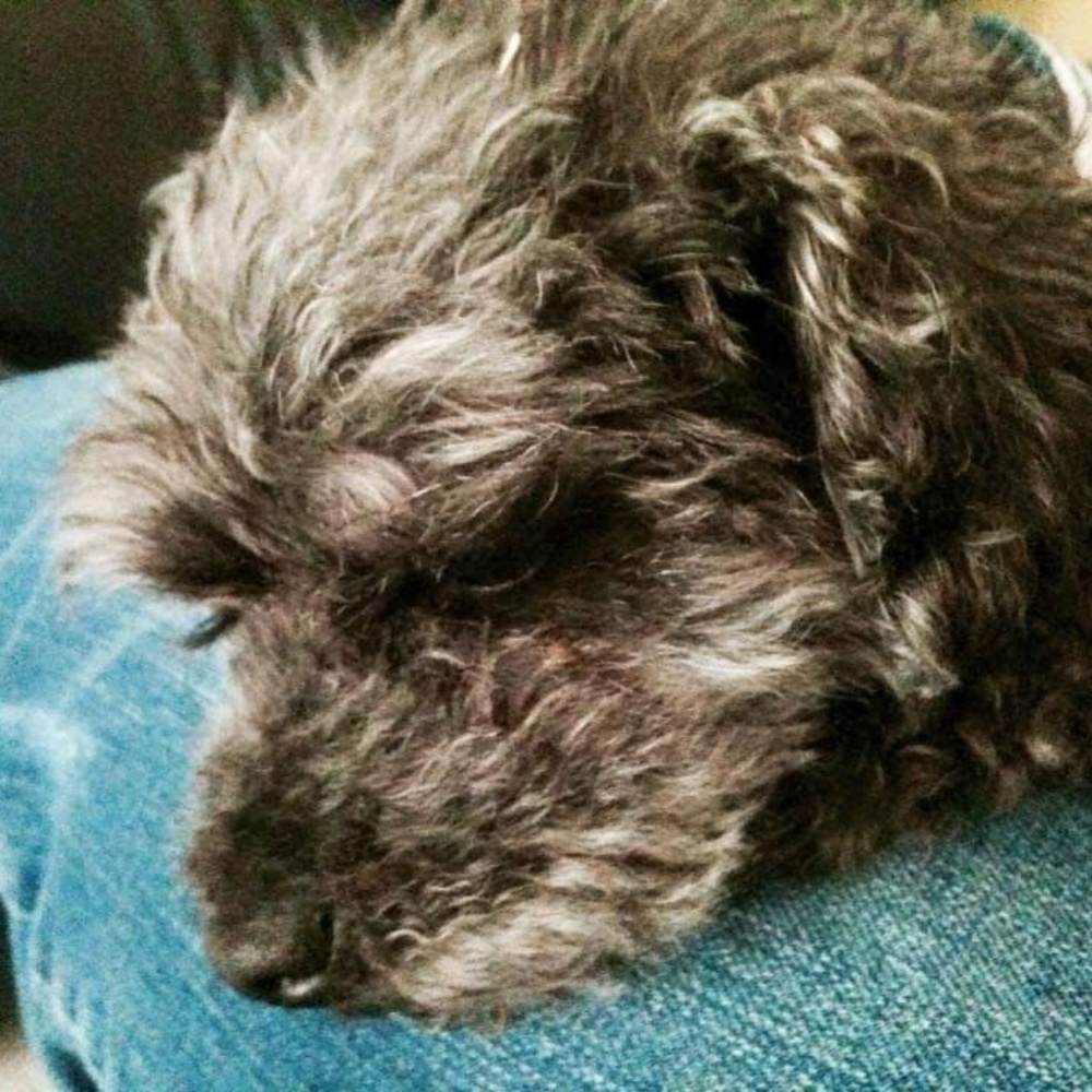 Meet your Posher, Monica